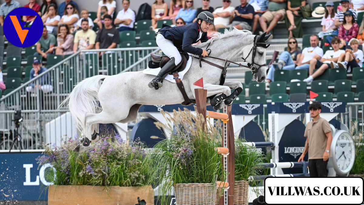 donald whitaker showjumper