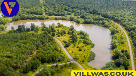 woodlands new forest